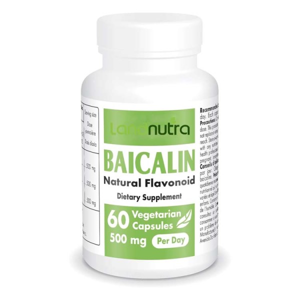 Scutellaria Extract Manufacturer - Baicalin Herb Powder