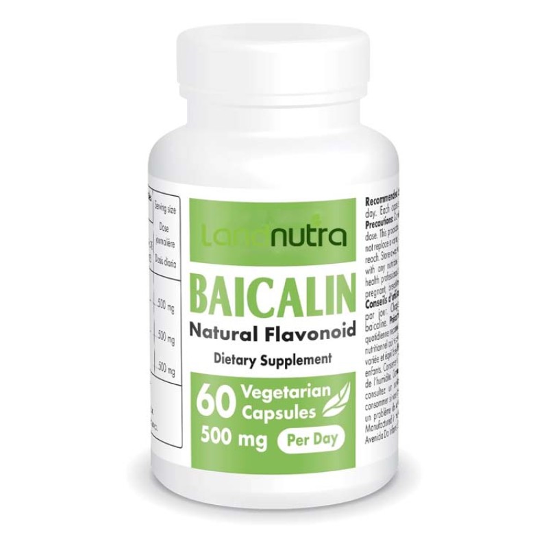 Scutellaria Extract Manufacturer - Baicalin Herb Powder