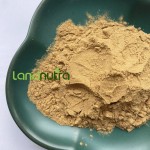 石榴皮提取物供应商-40%鞣花酸