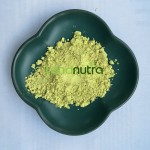 脂质体槲皮素粉末工厂-槐花提取物