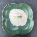 菊苣根菊粉工厂- CAS 9005805食品级