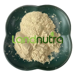 Aconite Extract Factory - Aconite Seed Extract Powder