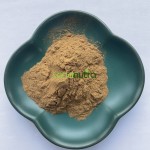 Matcha Green Tea Extract Factory - 50%-98% EGCG