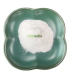 菊苣根菊粉工厂- CAS 9005805食品级