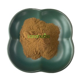 Defatted Beef Liver Powder Supplier - Freeze Dried
