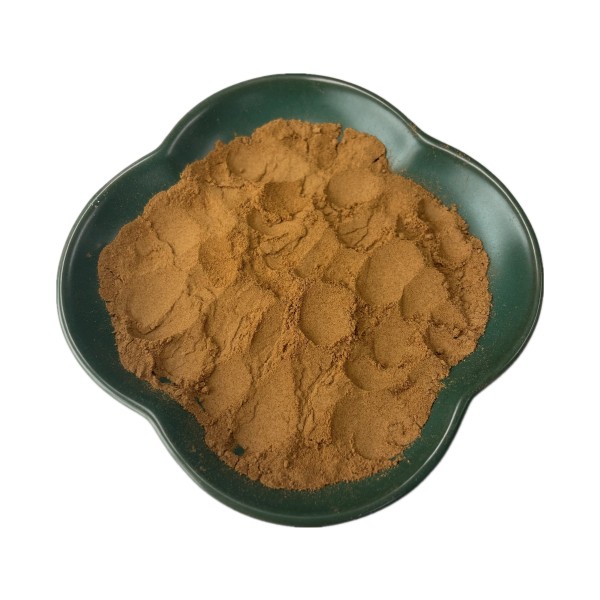 Cinnamon Polyphenol Powder Supplier - 10% 30% Bulk