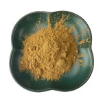 Fenugreek Seed Extract Factory - 10% 20% Powder