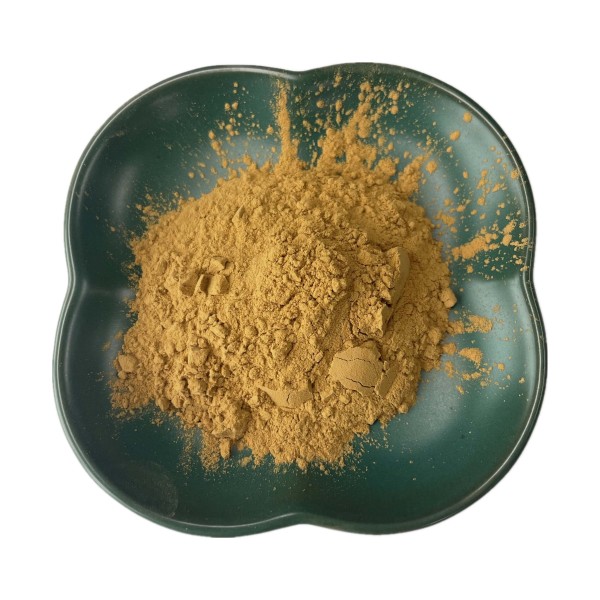 Fenugreek Seed Extract Factory - 10% 20% Powder