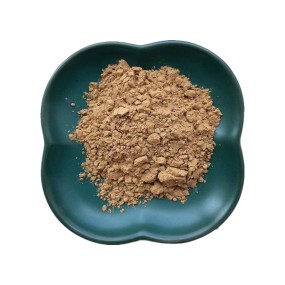 Hoodia Cactus Extract Supplier - 20:1 Nopal Cactus