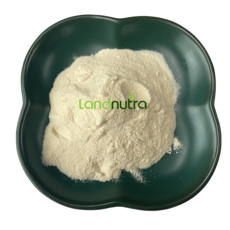Soy Extract Powder Manufacturer - 40% 80% Isoflavone