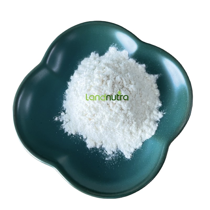 Cellulase Enzyme Powder Supplier - Trichoderma Reesei