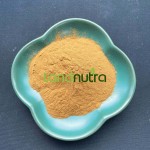 绿原酸供应商-5% 25%金银花提取物