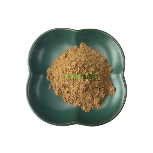 Sceletium Tortuosum Extract Manufacturer - 100:1 200:1