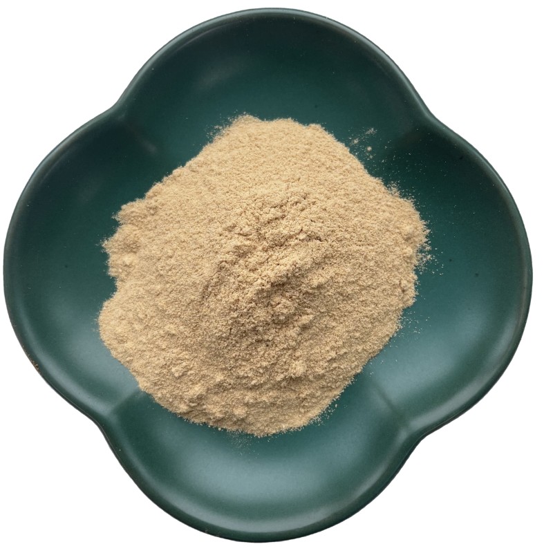 White Button Mushroom Extract Supplier - Health Promoting