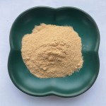 白纽扣蘑菇提取物供应商-健康促进