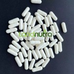 Bilberry Extract Factory - 25% Anthocyanin Powder