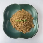 Houttuynia Cordata Extract Supplier - 10:1 Herb Powder