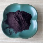 Bilberry Extract Factory - 25% Anthocyanin Powder