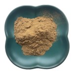绿茶多酚供应商-50%-98%有机批量