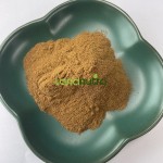 Gymnema Sylvestre Powder Factory - 25% Gymnemic Acid