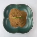 Witch Hazel Leaf Extract Factory - 25%-75% Hamamelis