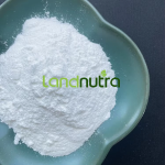 Konjac Powder Factory - 100% Vegetable Bulk Sales