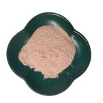 Acerola Cherry Extract Supplier - 17% 25% Vitamin C