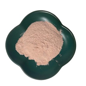 Acerola Cherry Extract Supplier - 17% 25% Vitamin C