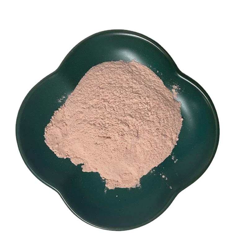 Acerola Cherry Extract Supplier - 17% 25% Vitamin C