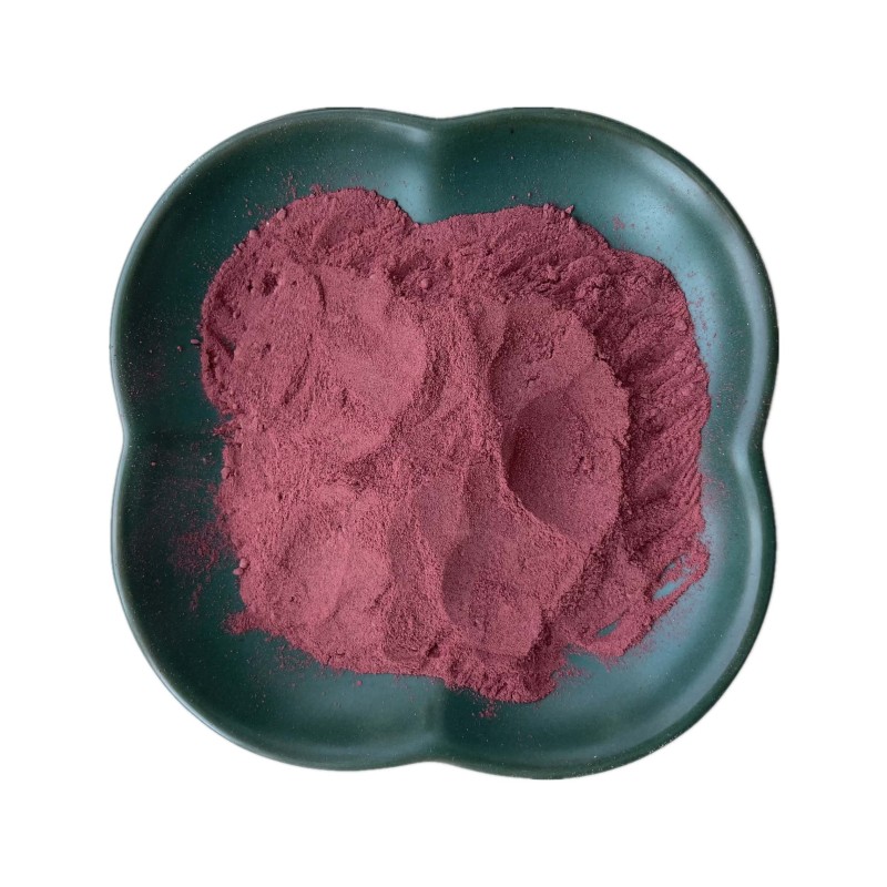 Beet Root Extract Powder Factory - Organic Red Beet