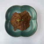 灵芝蘑菇提取物供应商-纯有机草本