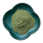 Green Pepper Powder Factory - Dehydrated Super Food