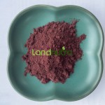 PQQ Powder Supplier - Factory Price High Quality