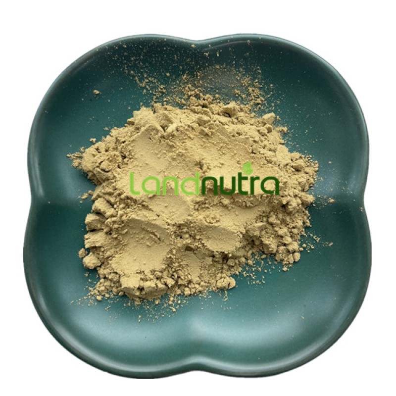 Aguaje Fruit Powder Manufacturer - 10:1 20:1 Herb Extract