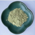 Avocado Extract Powder Factory - Soluble Fruit Powder
