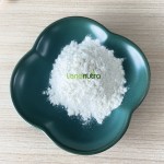 纤维素酶粉末供应商-里氏木霉