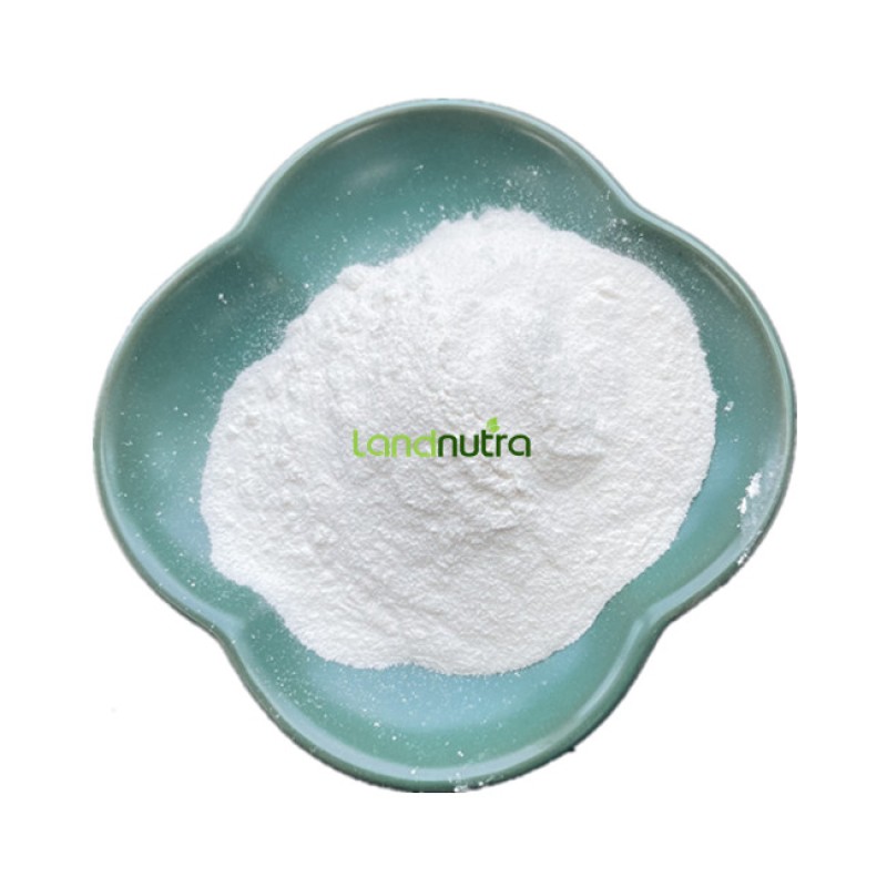 Lithium Lactate Factory - 99% Monohydrate Salt