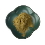 Holy Basil Extract Factory - Thai Tulsi Stress Support
