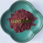Grape Seed Extract Factory - 95% Proanthocyanidin Powder