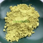 Quercetin Powder Manufacturer - Food Grade Organic 99%