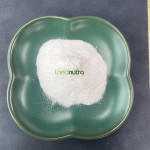 L-5-MTHF Calcium Powder Factory - CAS 151533-22-1