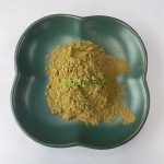 Holy Basil Extract Factory - Thai Tulsi Stress Support