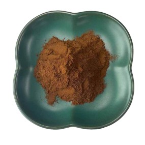 Reishi Mushroom Extract Supplier - Pure Organic Herb