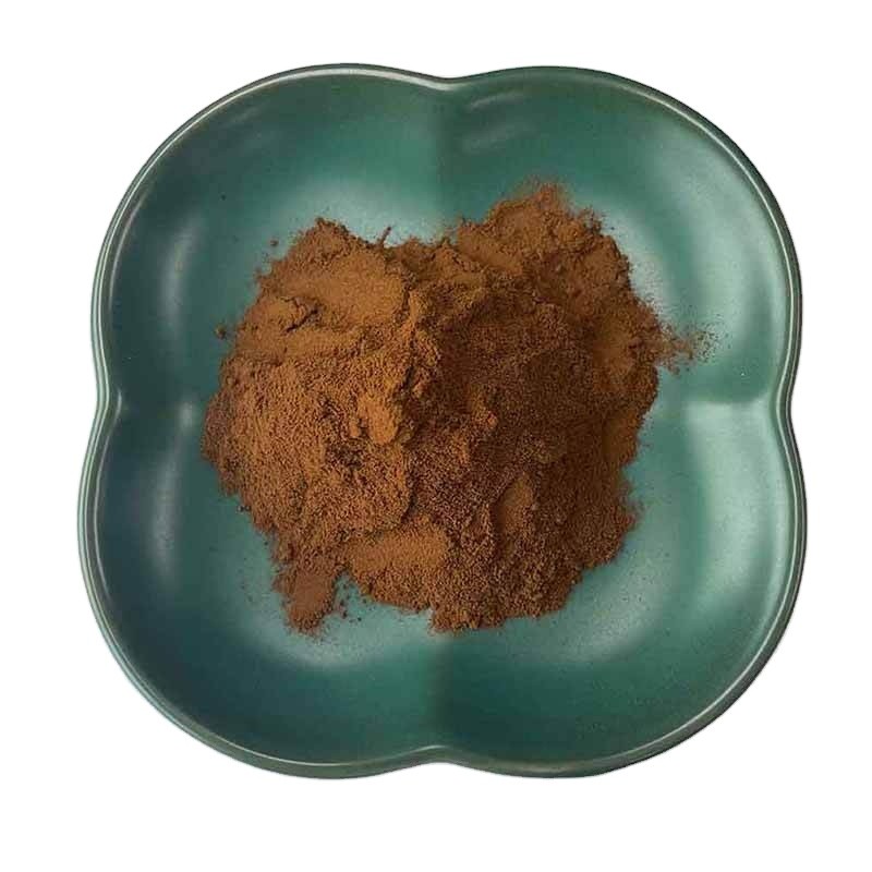 Reishi Mushroom Extract Supplier - Pure Organic Herb