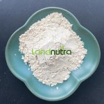 白藜芦醇粉末工厂-50% 98%葡萄皮提取物