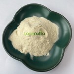 大豆提取物粉末生产厂家-40% 80%异黄酮
