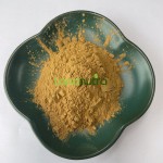 Fenugreek Seed Extract Factory - 10% 20% Powder