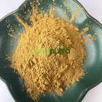 Brown Algae Extract Factory - Green Seaweed Powder
