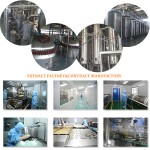 绿原酸供应商-5% 25%金银花提取物