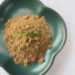 Epimedium Extract Supplier - 10% Powder Bulk